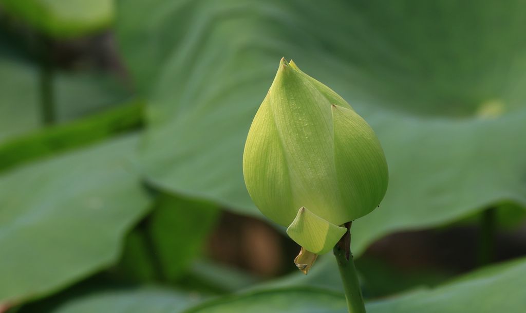 IMG_9509_副本.jpg