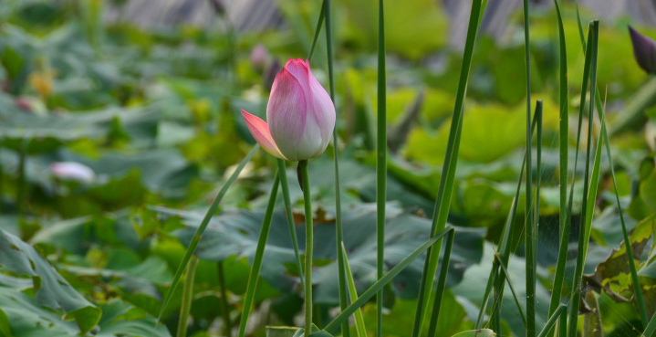 DSC_2776.JPG