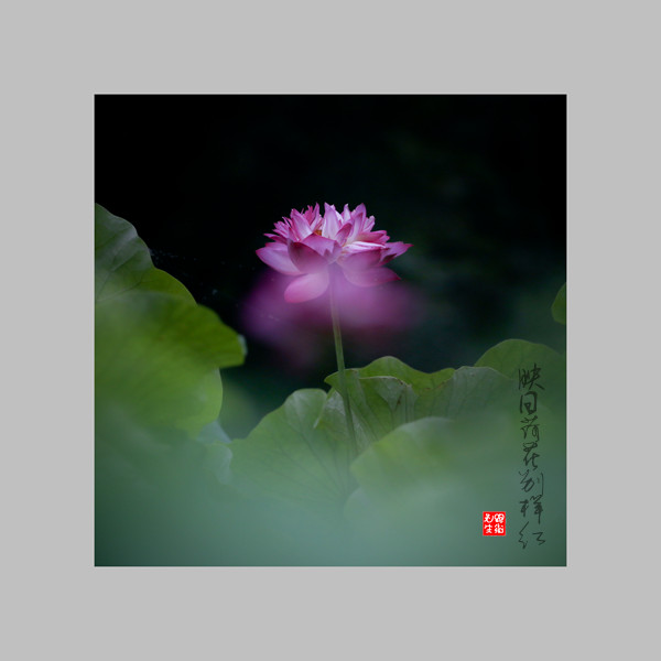IMG_4874-1_副本.jpg