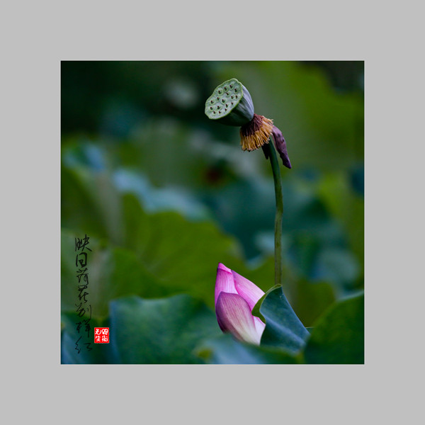 IMG_4882-1_副本.jpg