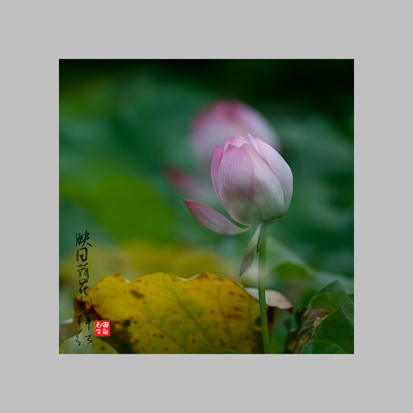 IMG_4885-1_副本.jpg