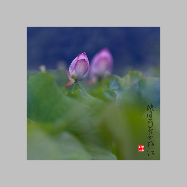 IMG_4901-1_副本.jpg