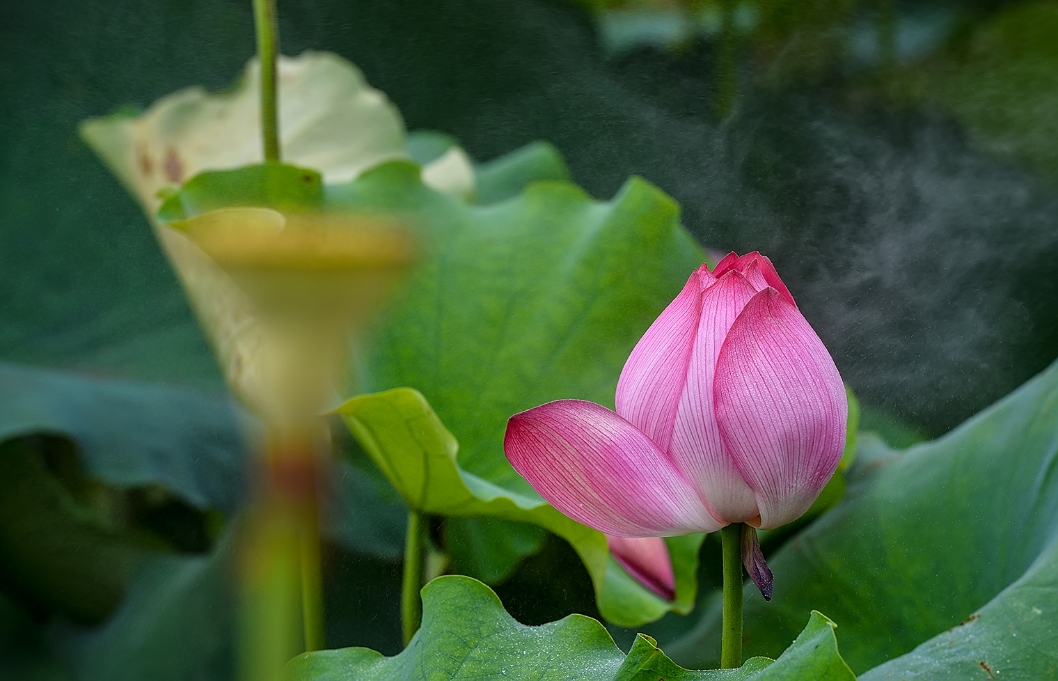 DSC_7545.jpg