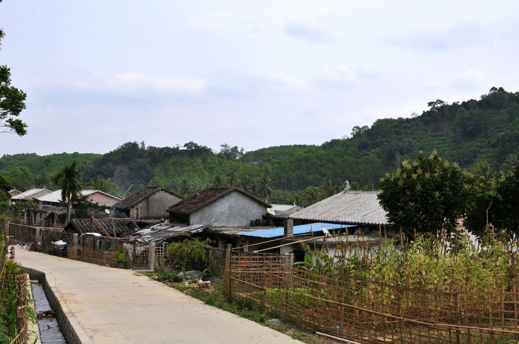 DSC_1442A.jpg