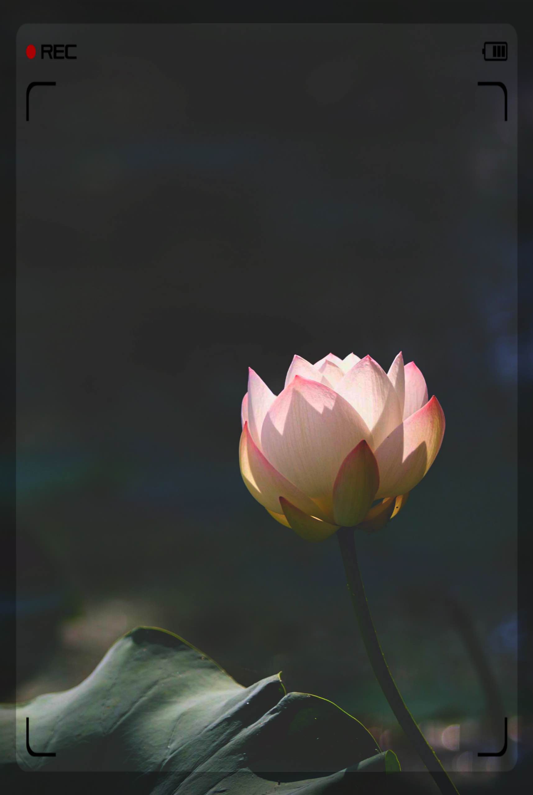 22副本.jpg