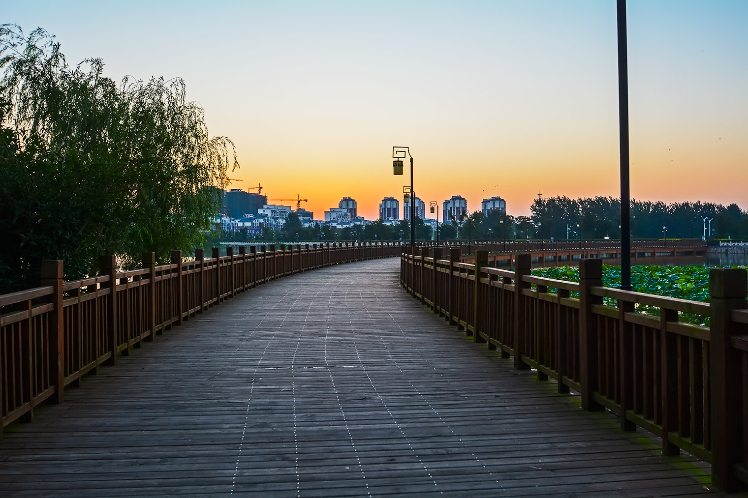DSC_2582.jpg
