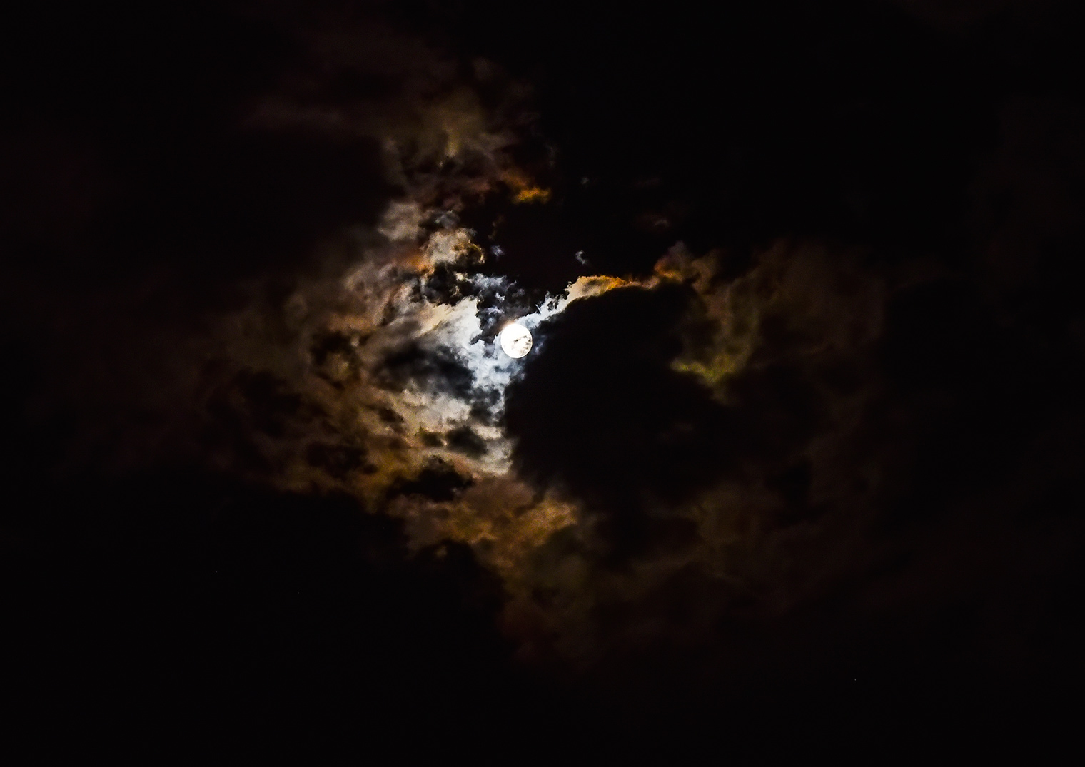 DSC_8757.jpg