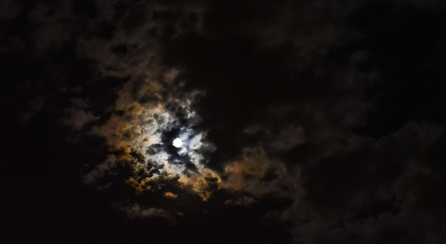 DSC_8773.jpg