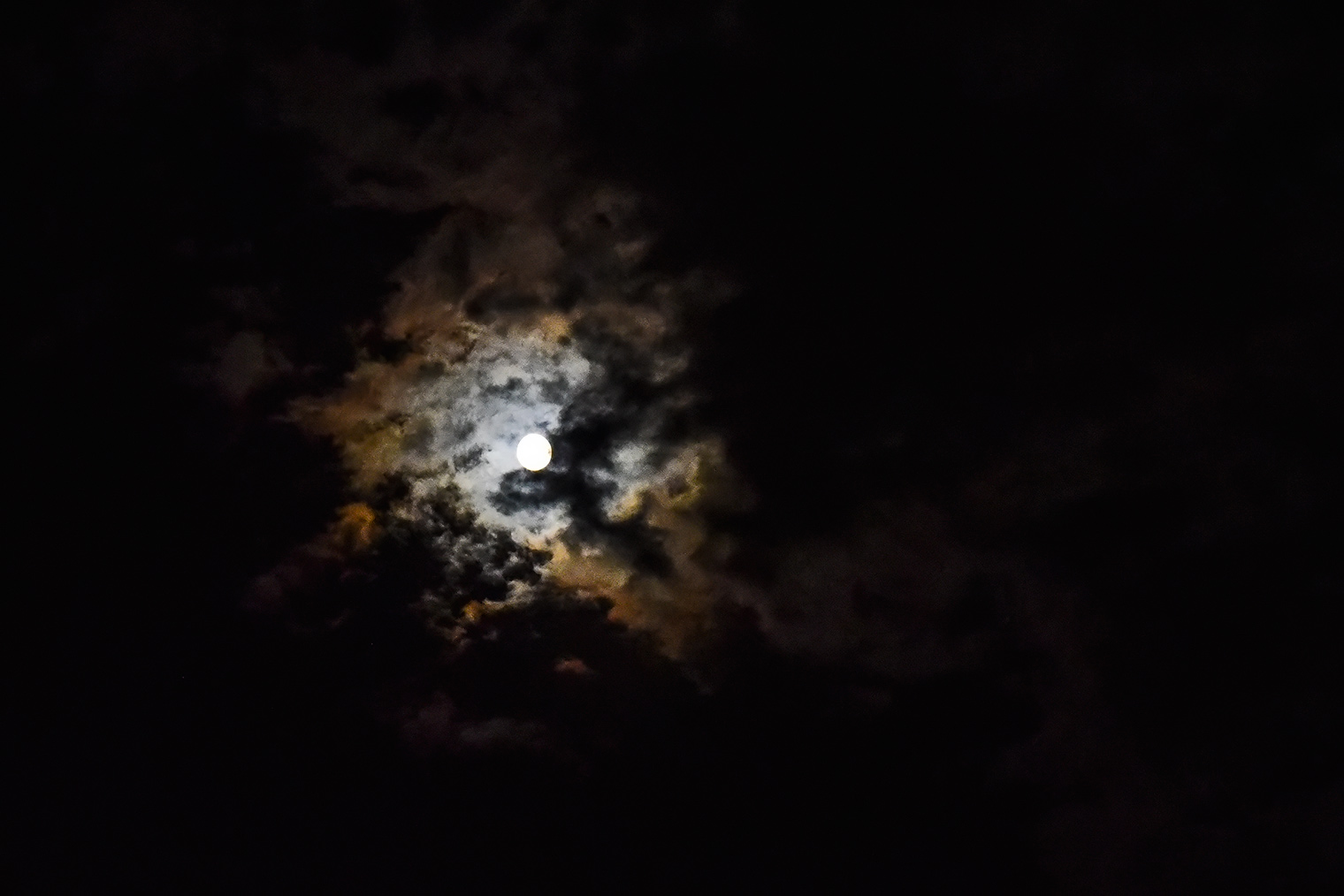 DSC_8774.jpg