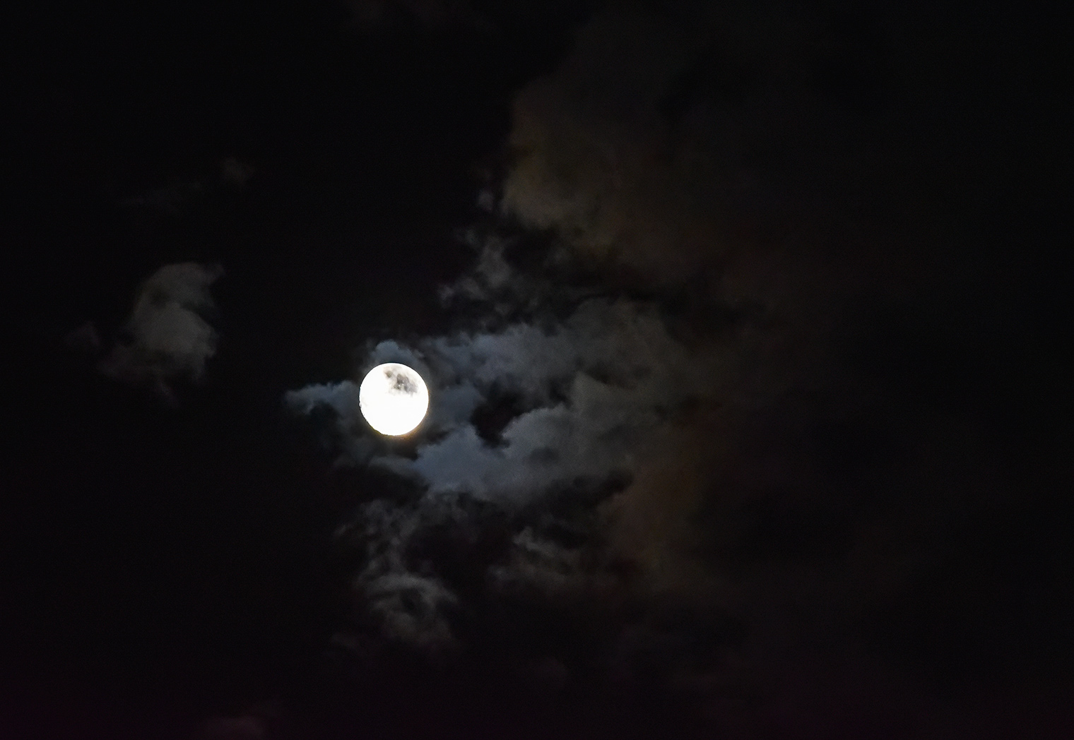DSC_8778.jpg