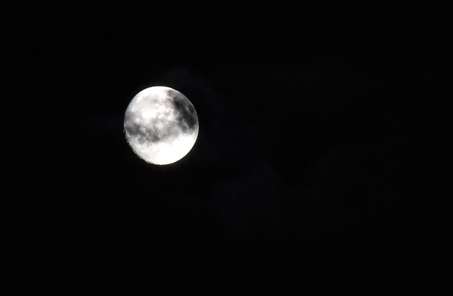 DSC_8779.jpg