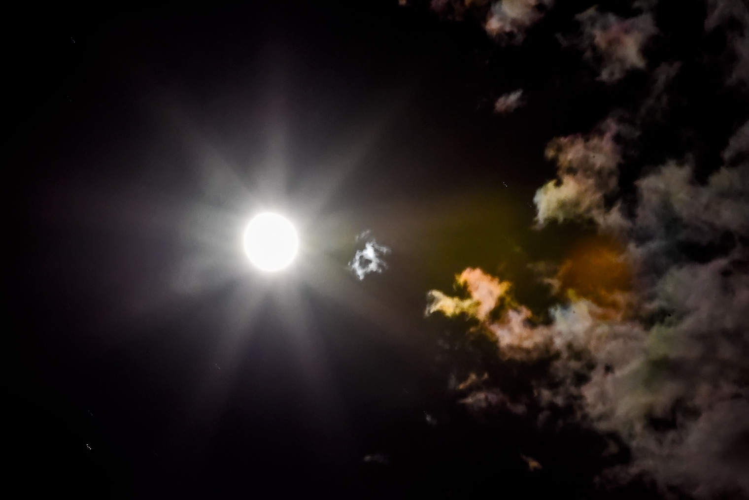 DSC_8789.jpg