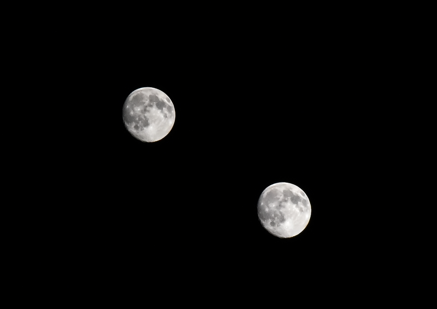 DSC_8791.jpg
