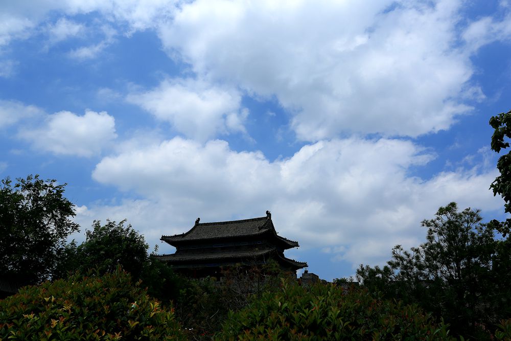 2Y0A9972_副本.jpg