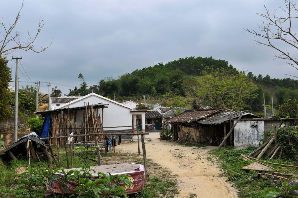 DSC_1493A.jpg