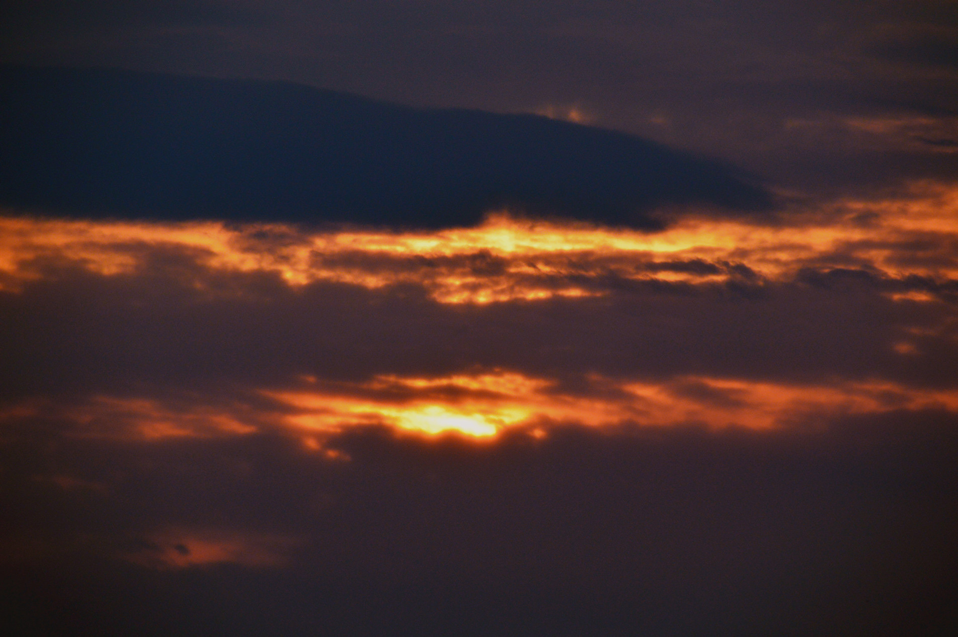 DSC_0242.JPG