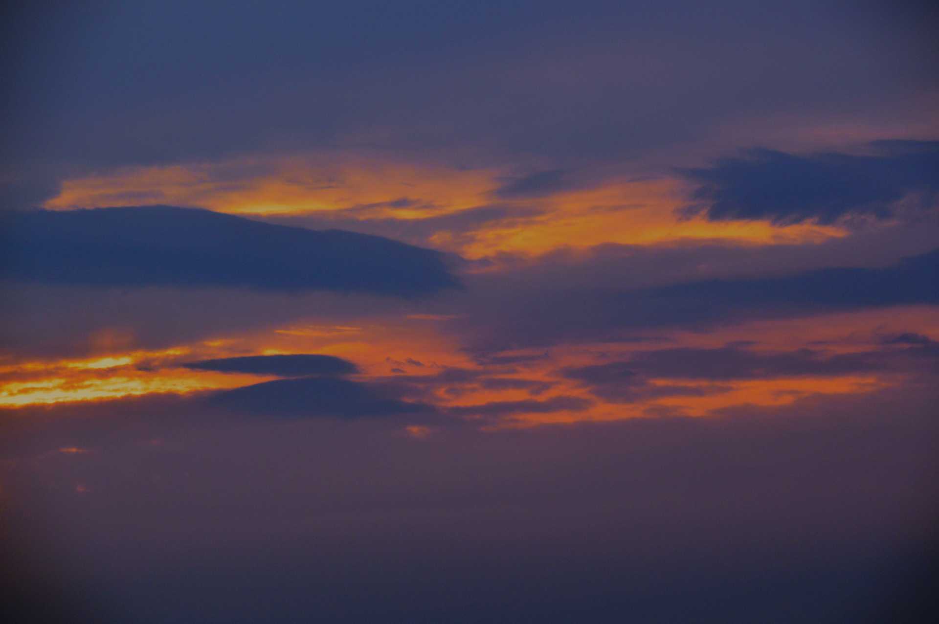 DSC_0258_.jpg