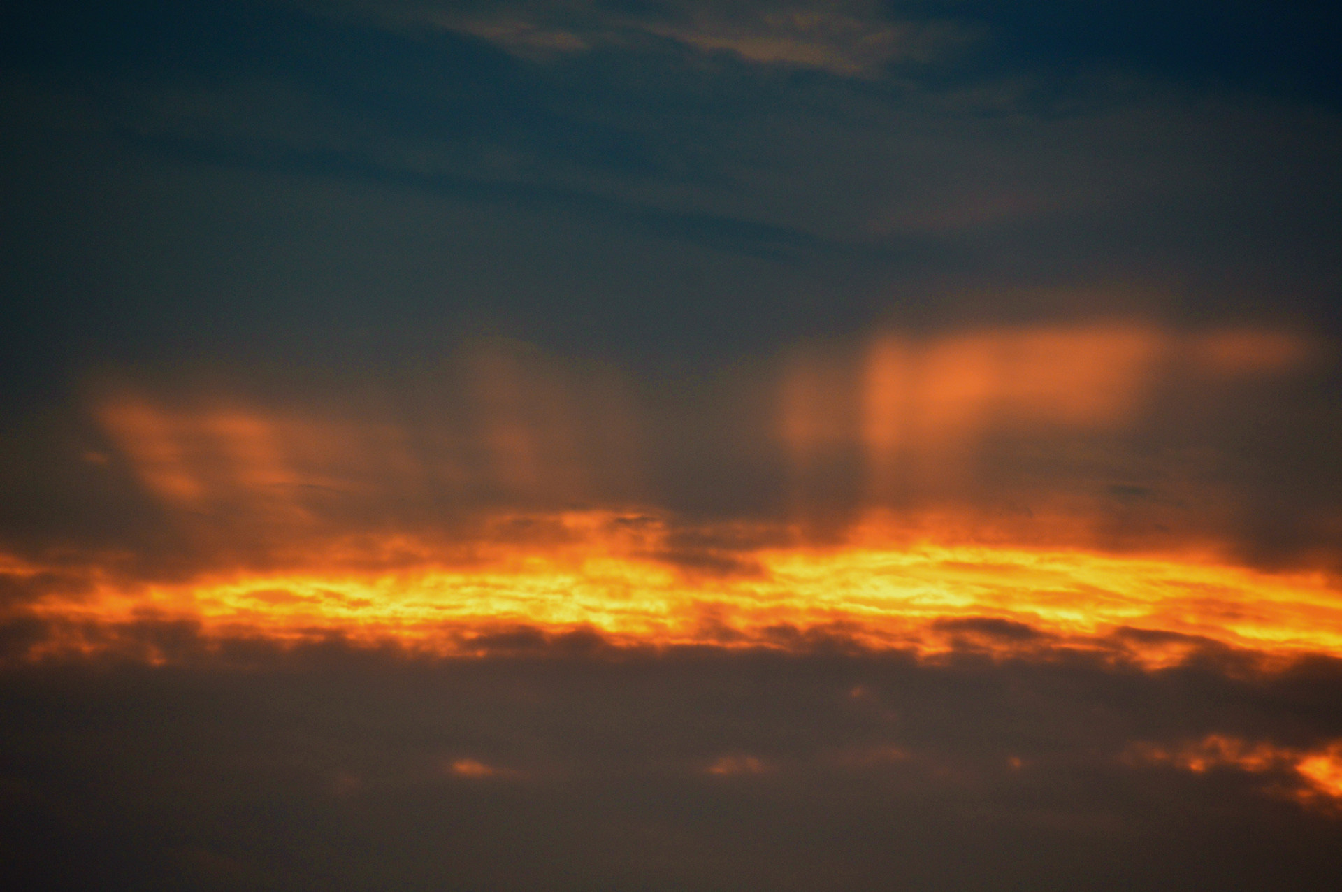 DSC_0271_.jpg