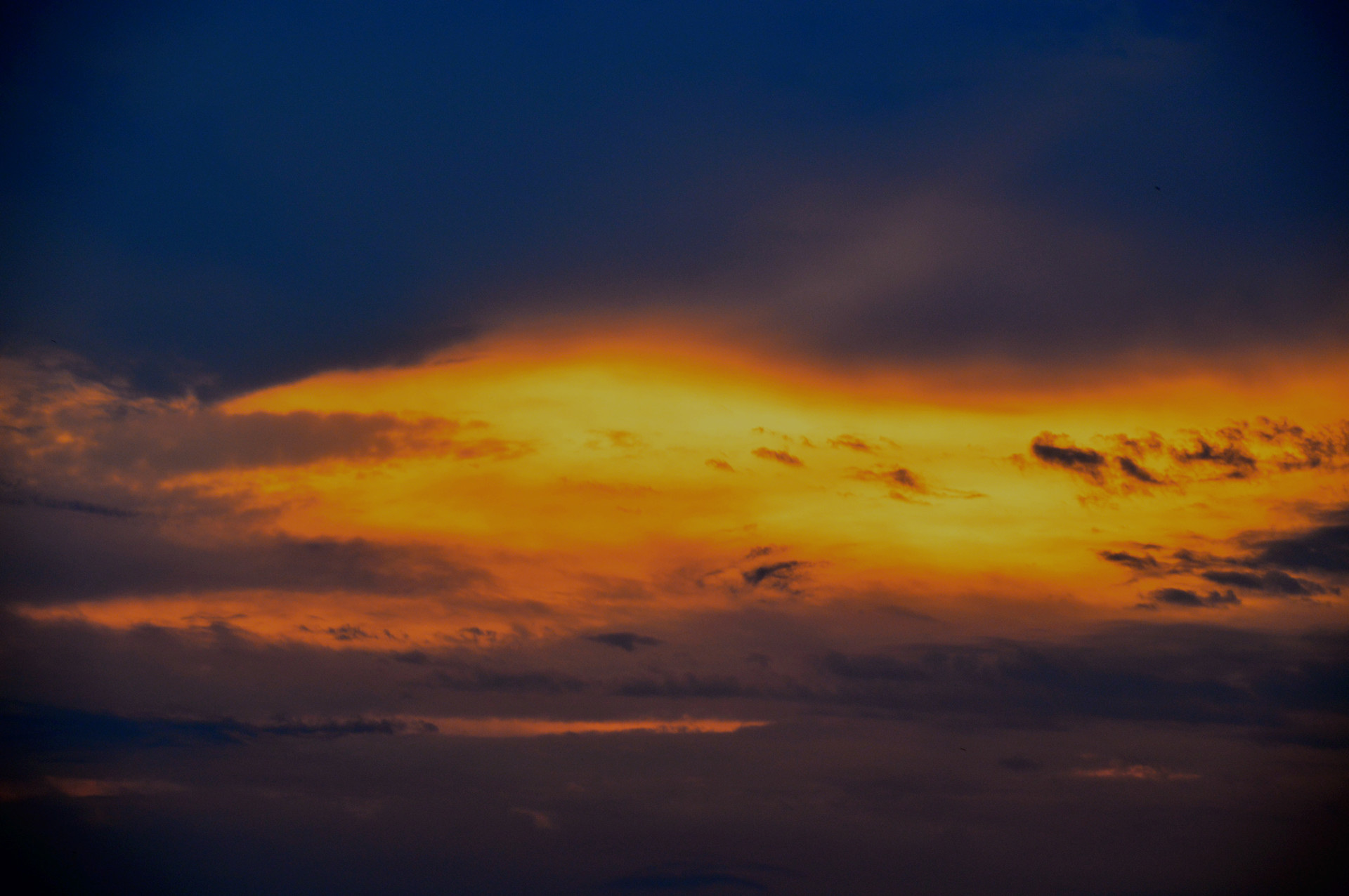 DSC_0301_.jpg