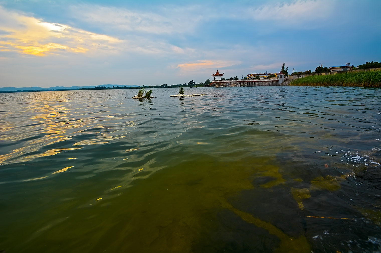 DSC_2705.jpg