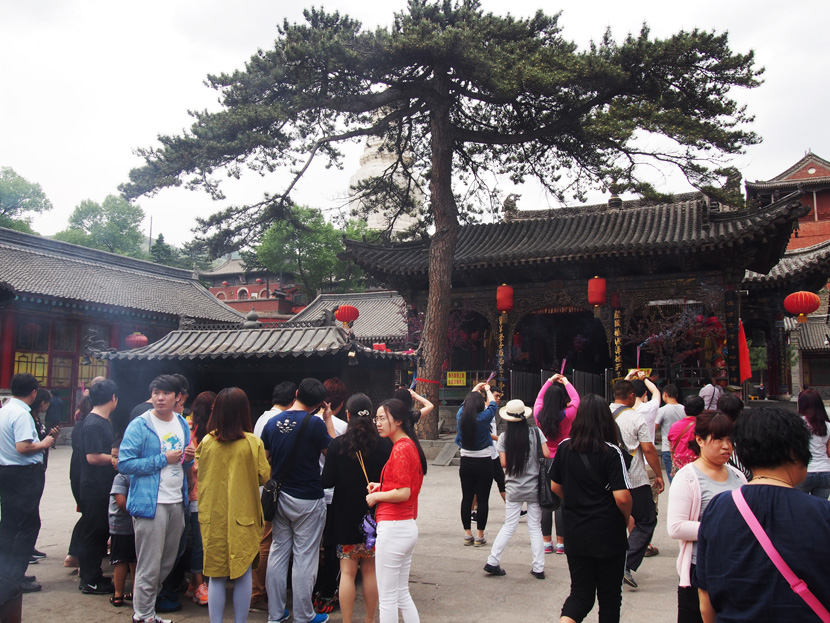 P1010308.JPG
