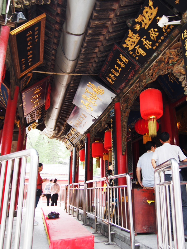 P1010317.JPG