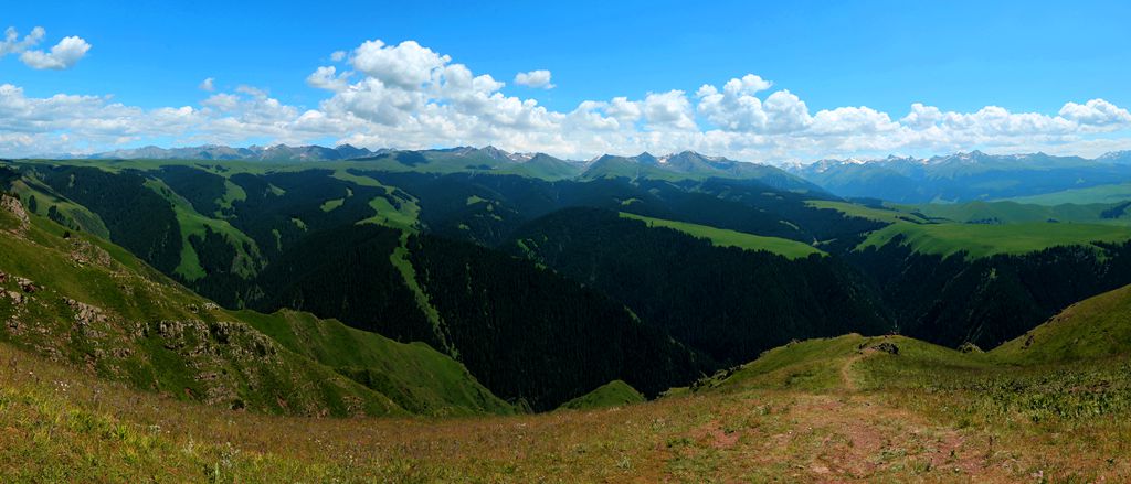 未标题_全景图9_副本_副本.jpg