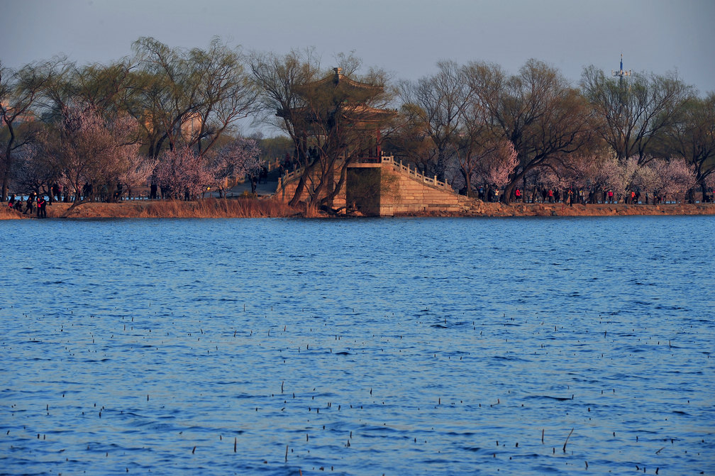 DSC_9278.jpg