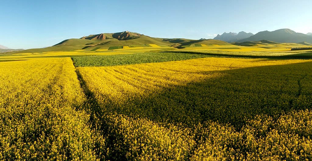 PANO_20150725_071259.jpg