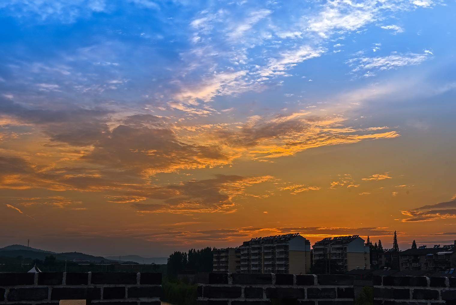 DSC_8972.jpg