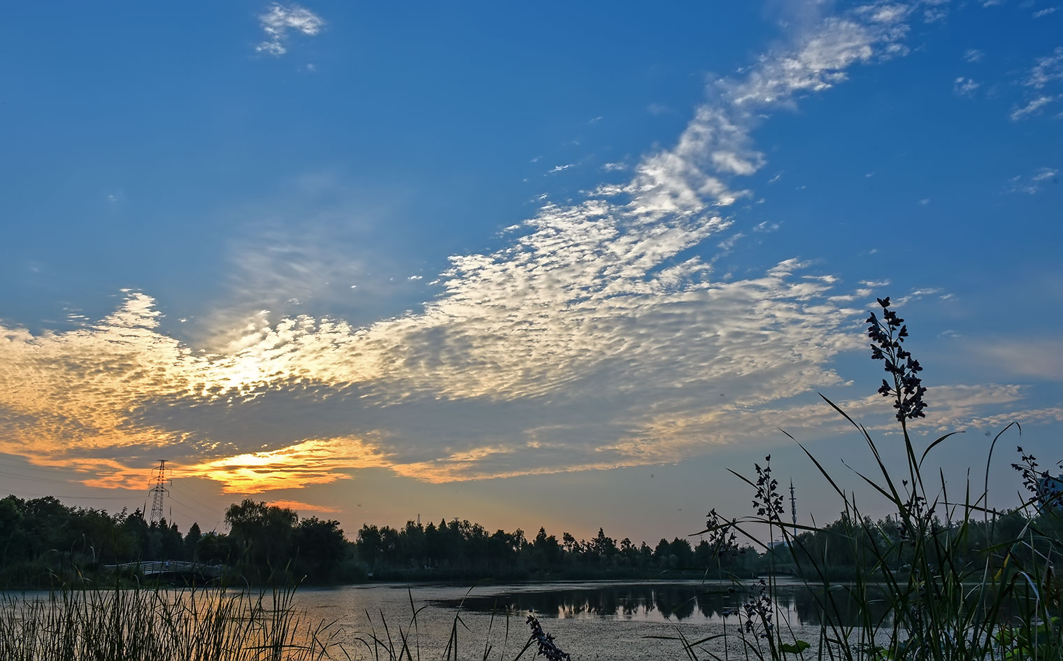 DSC_9124.jpg