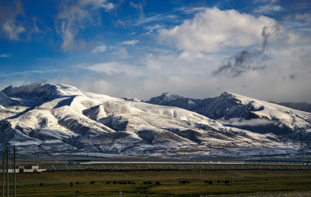 _DSC0370.jpg