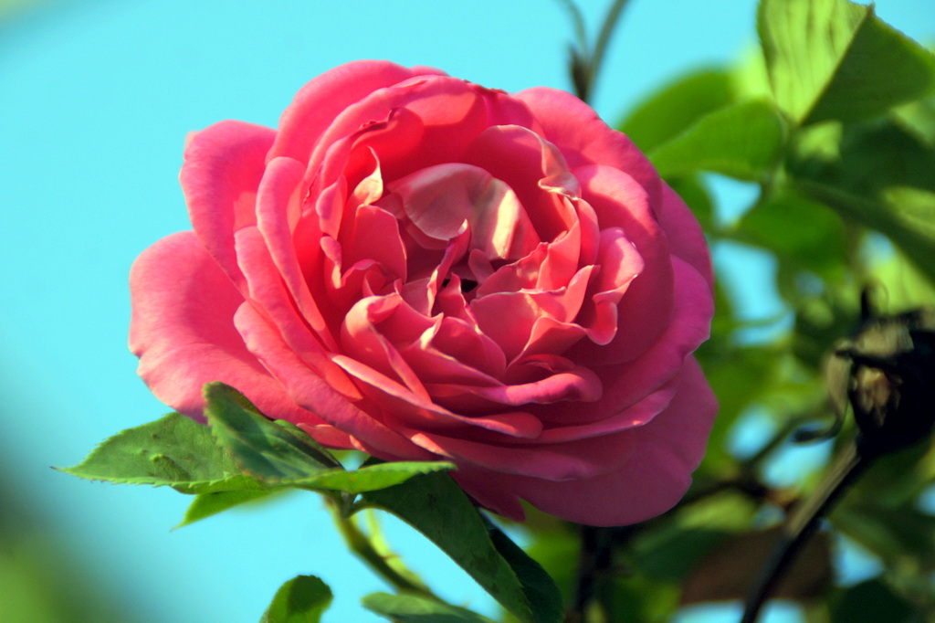 DSC08798.JPG