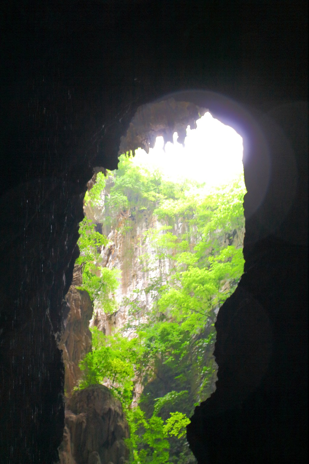 DPP_0014_副本.jpg