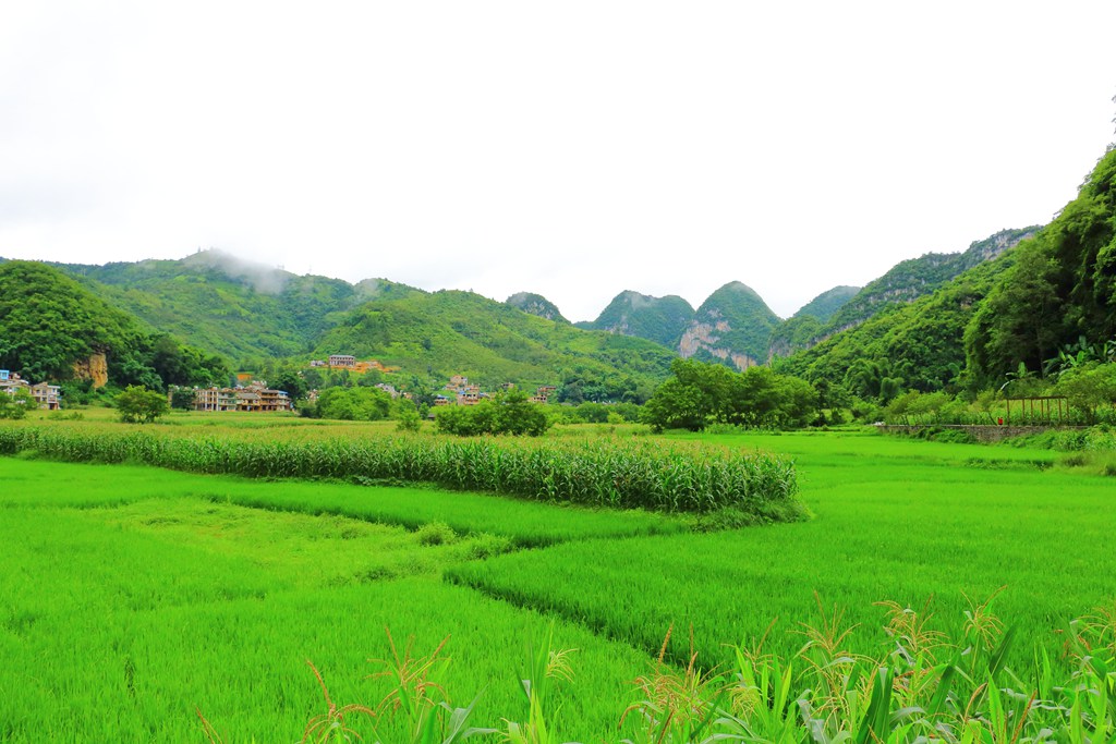 DPP_0018_副本.jpg