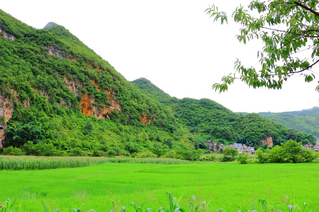 DPP_0019_副本.jpg