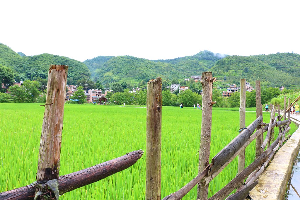 IMG_3898_副本.jpg