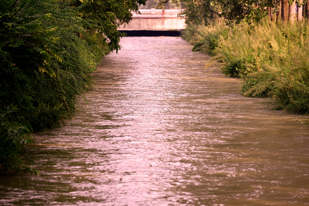 DSC_7056.JPG