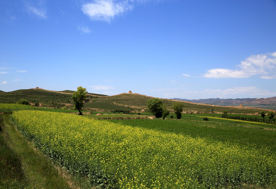 EY5A0141.JPG