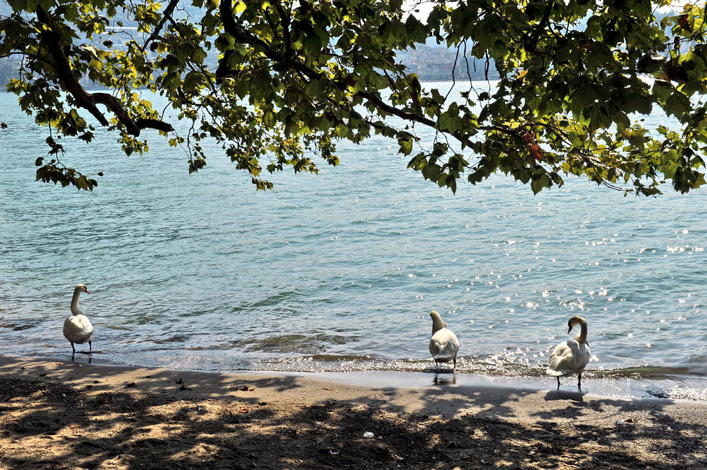 DSC_5955.jpg