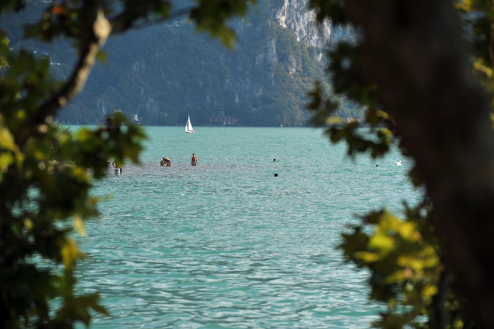 DSC_5906.jpg
