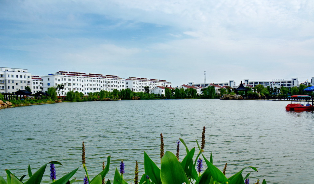DSC_6242.JPG