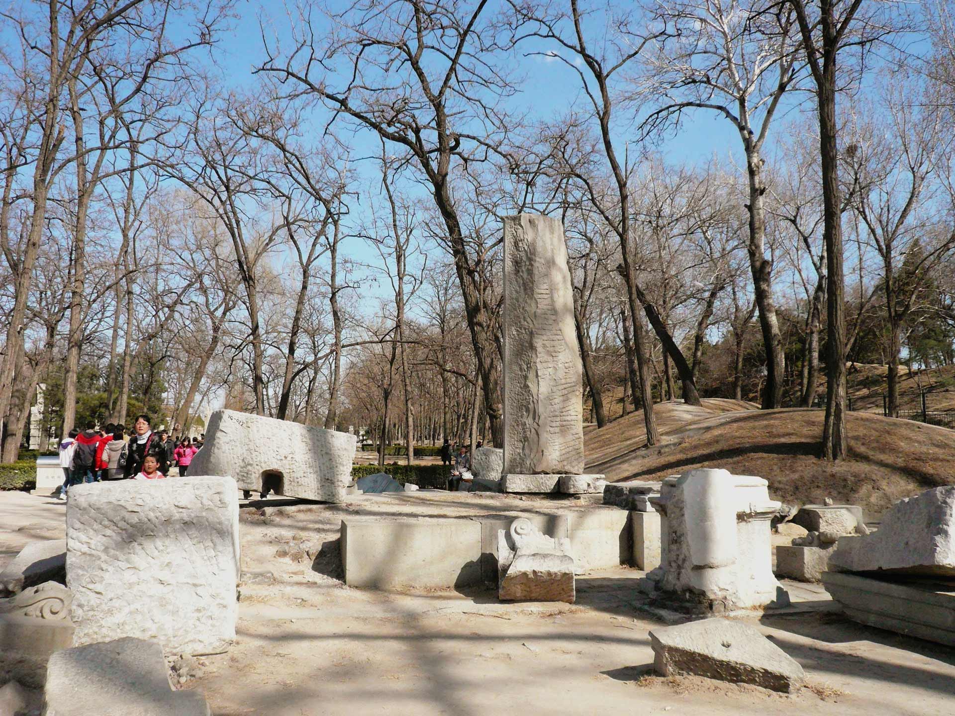 P1120864.JPG
