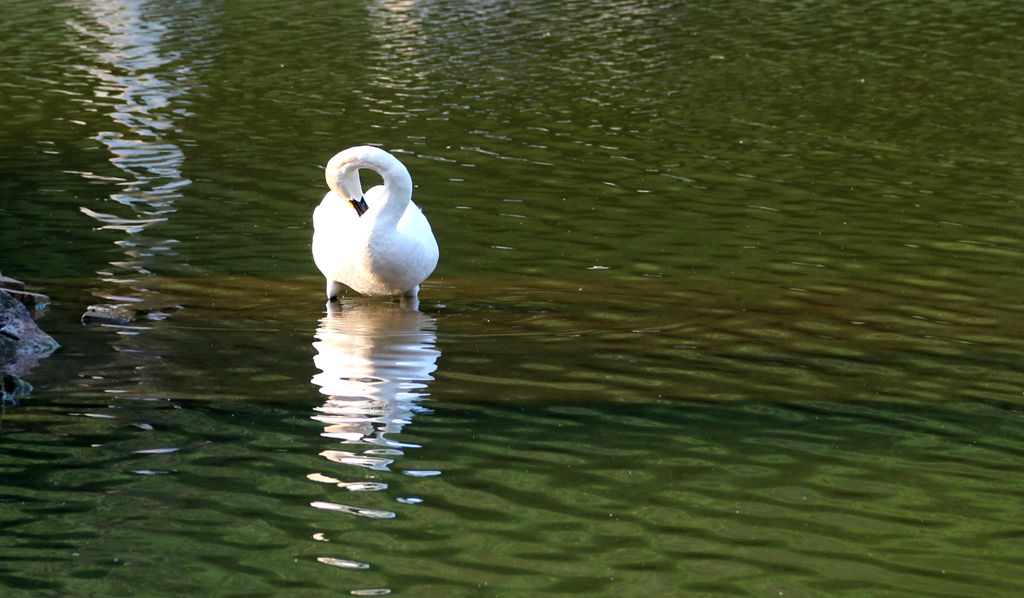 IMG_6890_副本.jpg