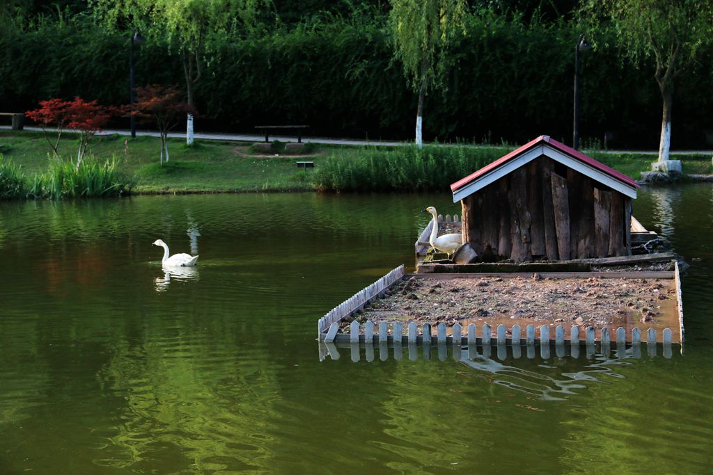 IMG_6878_副本.jpg