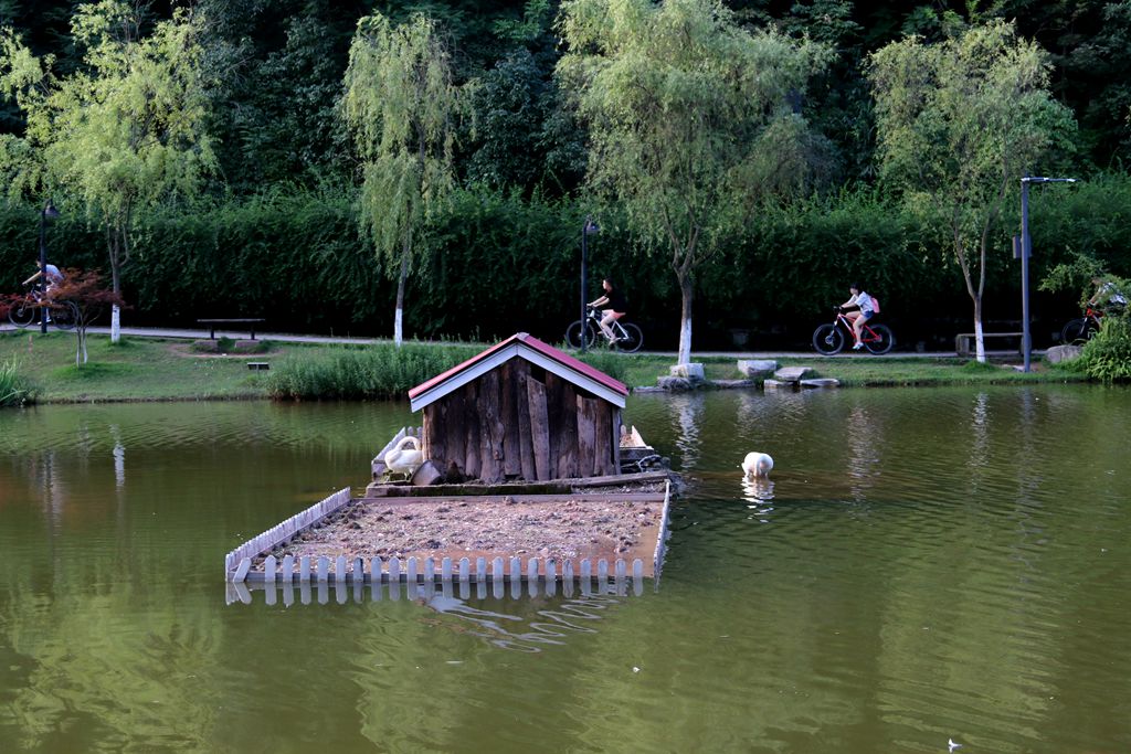 IMG_6907_副本.jpg