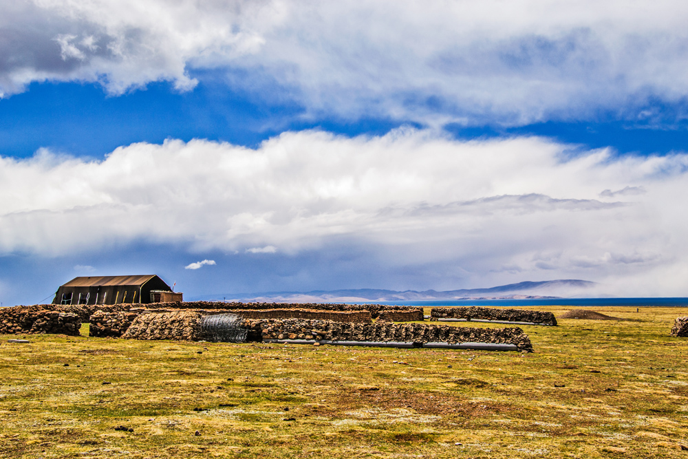 _DSC0598.jpg
