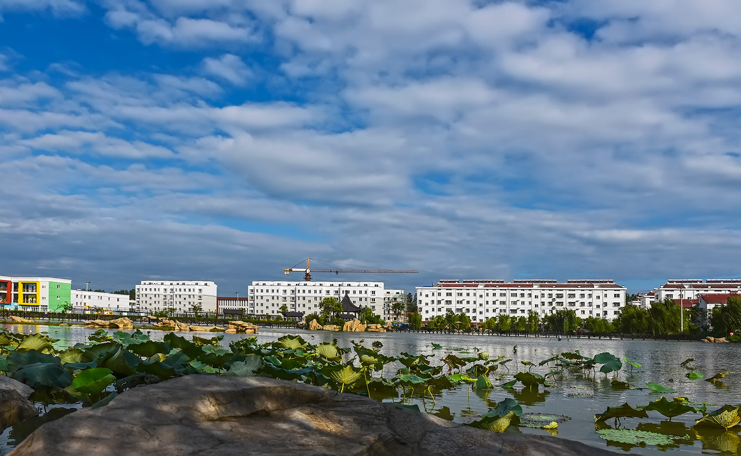 DSC_9432.jpg