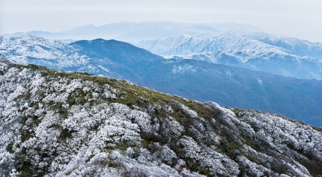 003 (NXPowerLite).jpg