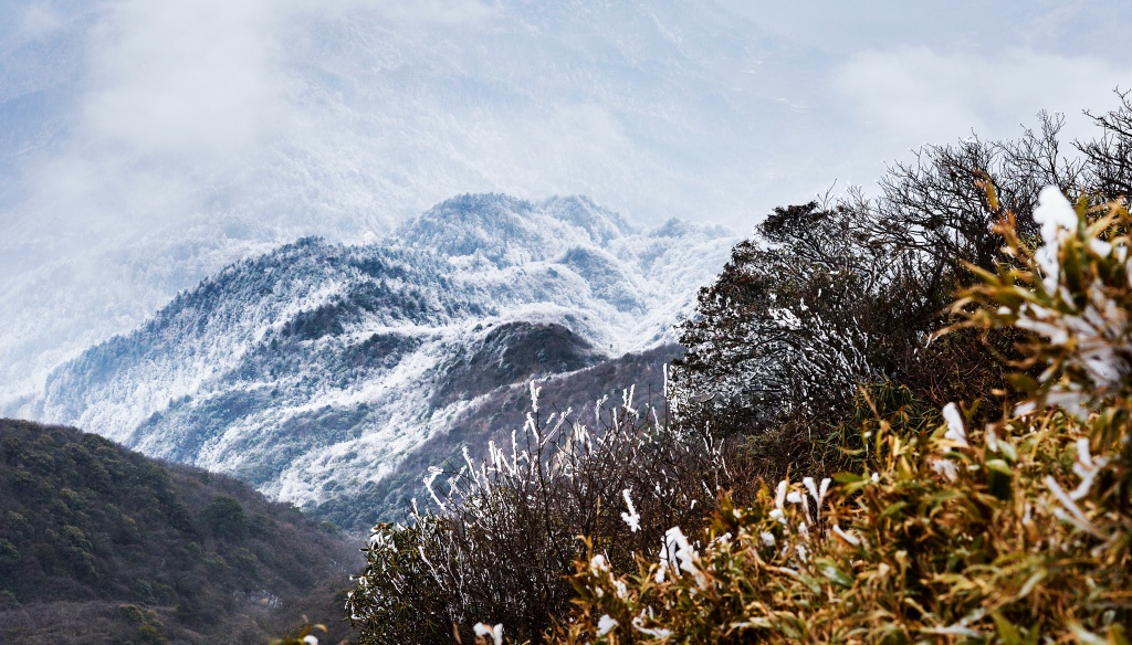 DSC_2530 (NXPowerLite).jpg